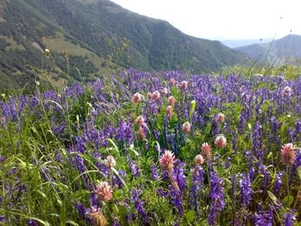 ایکینجی حیدربابایه سلام