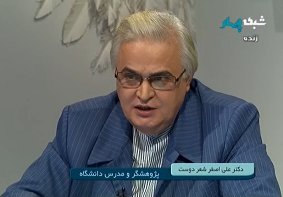 پژوهشگر ادبیات فارسی در گفت وگو با ایرنا تبیین کرد؛ زبان فارسی؛ آیینه تفکر ایرانیان(خبرگزاری ایرنا-17آبان1400)