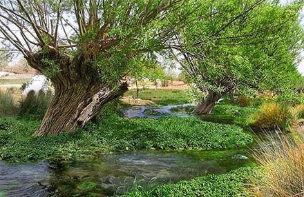 « حیدربابایه سلام » (مجموعه اشعار ترکی استاد شهریار)