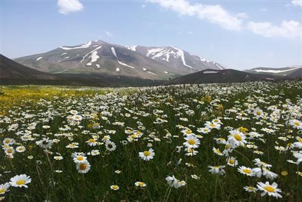 سهندیه (از مجموعه اشعار ترکی استاد شهریار)