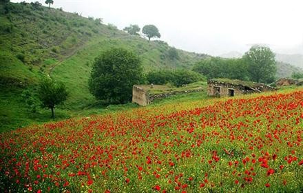 کؤنلوم قوشو آذربایجان خاطیره لری گؤیونده