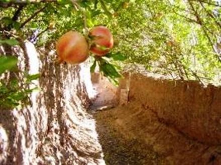 «یالان دنیا» (از مجموعه اشعار ترکی استاد شهریار)